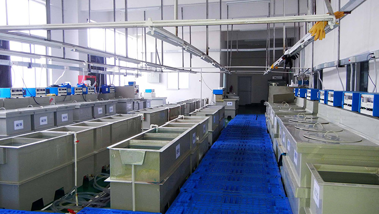 7b3b243efc5a5529c654a0360038063c_20200522105302_6718 7b3b243efc5a5529c654a0360038063c_20200522105302_6718